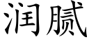 润腻 (楷体矢量字库)