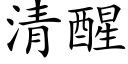 清醒 (楷体矢量字库)