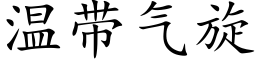 溫帶氣旋 (楷體矢量字庫)