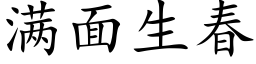 滿面生春 (楷體矢量字庫)