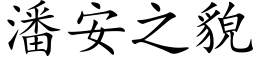 潘安之貌 (楷体矢量字库)