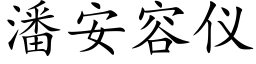 潘安容仪 (楷体矢量字库)