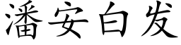 潘安白发 (楷体矢量字库)