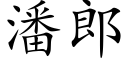 潘郎 (楷体矢量字库)