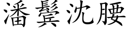 潘鬓沈腰 (楷体矢量字库)