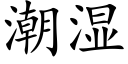 潮湿 (楷体矢量字库)