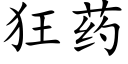 狂药 (楷体矢量字库)