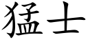 猛士 (楷体矢量字库)