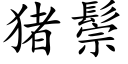 豬鬃 (楷體矢量字庫)