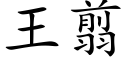 王翦 (楷體矢量字庫)