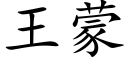 王蒙 (楷体矢量字库)