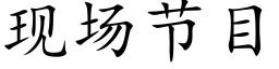 现场节目 (楷体矢量字库)