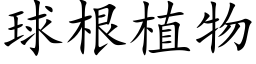 球根植物 (楷體矢量字庫)