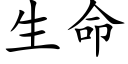 生命 (楷體矢量字庫)