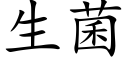 生菌 (楷体矢量字库)