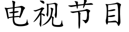 電視節目 (楷體矢量字庫)