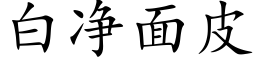 白净面皮 (楷体矢量字库)