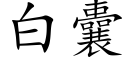 白囊 (楷體矢量字庫)