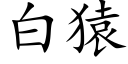 白猿 (楷体矢量字库)