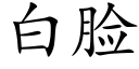 白臉 (楷體矢量字庫)