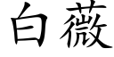 白薇 (楷體矢量字庫)