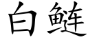 白鲢 (楷体矢量字库)