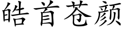 皓首苍颜 (楷体矢量字库)