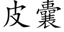 皮囊 (楷體矢量字庫)