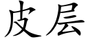 皮层 (楷体矢量字库)