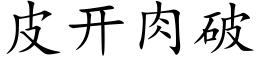 皮开肉破 (楷体矢量字库)