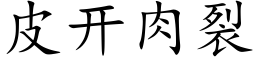 皮開肉裂 (楷體矢量字庫)