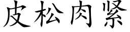 皮松肉紧 (楷体矢量字库)