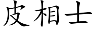 皮相士 (楷體矢量字庫)