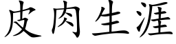 皮肉生涯 (楷体矢量字库)