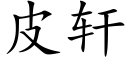 皮轩 (楷体矢量字库)