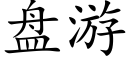 盘游 (楷体矢量字库)