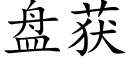 盘获 (楷体矢量字库)