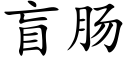 盲腸 (楷體矢量字庫)