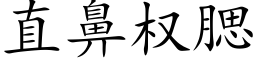 直鼻权腮 (楷体矢量字库)