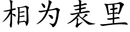 相为表里 (楷体矢量字库)