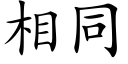 相同 (楷體矢量字庫)