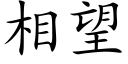 相望 (楷體矢量字庫)