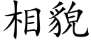 相貌 (楷体矢量字库)