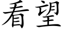 看望 (楷体矢量字库)