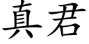 真君 (楷體矢量字庫)