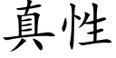 真性 (楷體矢量字庫)