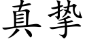 真摯 (楷體矢量字庫)