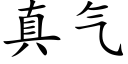 真氣 (楷體矢量字庫)