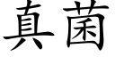 真菌 (楷体矢量字库)