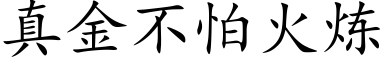 真金不怕火煉 (楷體矢量字庫)